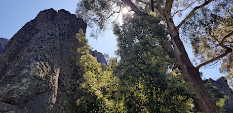 Discover citizen science at Hanging Rock Reserve