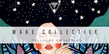 Wake Collective: The cellular awakening primary image