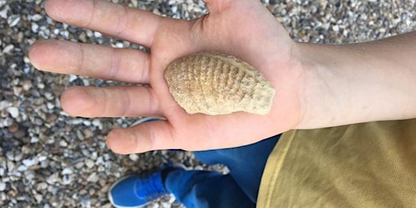Family Fossil Hunt - May 2024