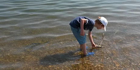 Wild Beach Leader Training Level 3 Hampshire