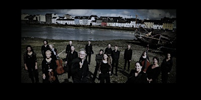 Primaire afbeelding van The Luminosa String Orchestra - Bláthú (Flourishing) I