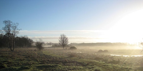 Dawn chorus Foxburrow