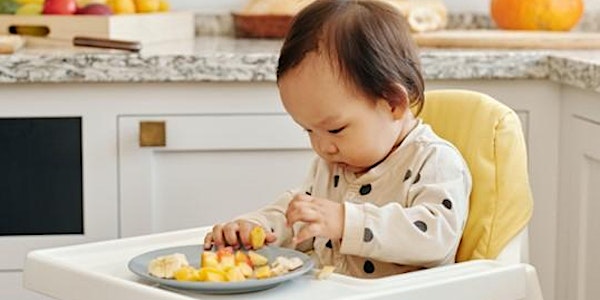 Introducing Solids Workshop (Tues 23rd July 2024)  10-11.30am