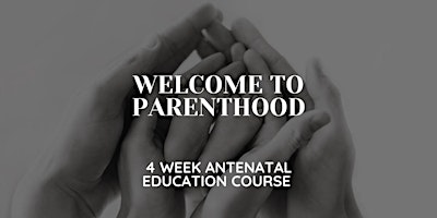 Welcome to Parenthood - One Day Course primary image