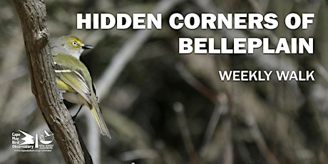 Hidden Corners of Belleplain