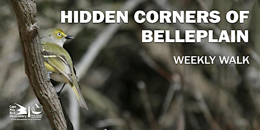 Imagem principal do evento Hidden Corners of Belleplain