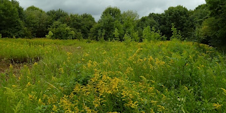 Hillingdon Volunteering - Minet Country Park (West London)