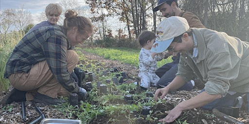 Revive The Roots Volunteer Days  primärbild