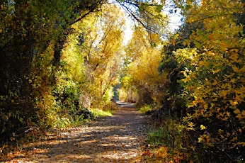 Image principale de Guided Natural and Cultural History Walk at the Cosumnes River Preserve