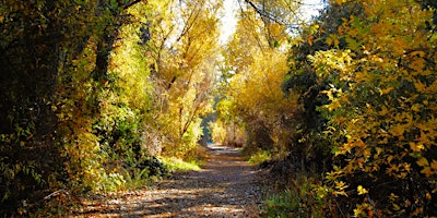 Guided Natural and Cultural History Walk at Cosumnes River Preserve