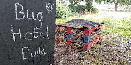 Bug Hotel Build at Middleport Pottery primary image