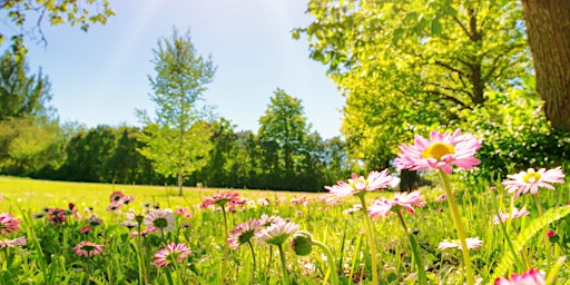 Spring Landscaping Workshop primary image