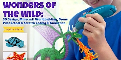 Primaire afbeelding van Wonders of the Wild: 3D Design, Minecraft Worldbuilding, Drone Pilot School