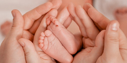 Imagem principal de Open House for Expectant Parents