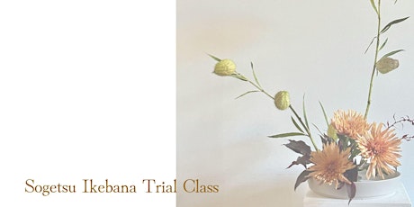 Sogetsu Ikebana Trial Class for Beginners