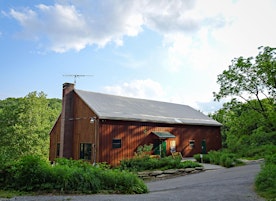 Primaire afbeelding van Habitat Advocate: Native Plant Interpretive Hike