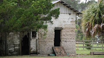 Day Trip and Tour of Ossabaw Island's North End