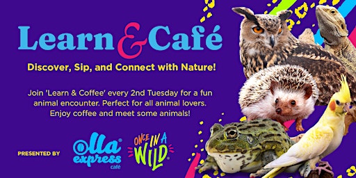 Learn & Café - Sip, Discover, and Connect with Animals!  primärbild