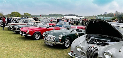 Primaire afbeelding van Classic Car Show (Visitor)