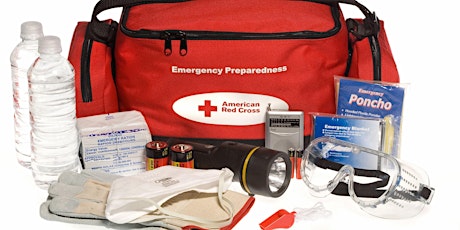 Imagen principal de Disaster Preparedness (webinar)