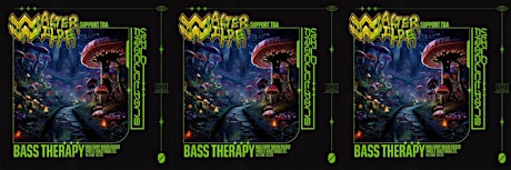 Bass Therapy: Walter Wilde