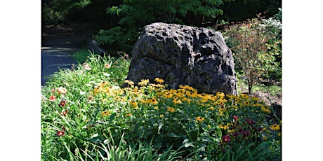 Explore the geology of Highland Park with tour guide, Tyler Lucero!