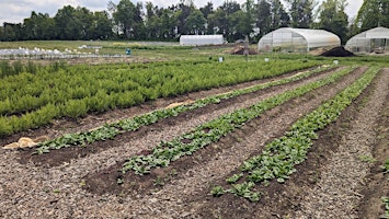 Urban Farm Incubator Open House primary image