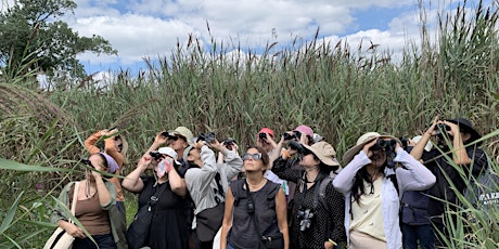 Guided walk: Winter Birds at Jamaica Bay primary image