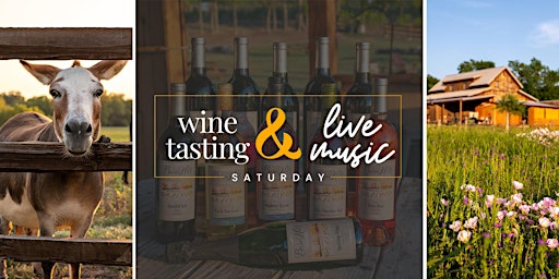 Imagem principal de Wine Tasting and Live Acoustic Music by Amanda Latz / Anna, TX