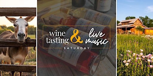 Wine Tasting and Live Acoustic Music by Kevin Voight / Anna, TX primary image