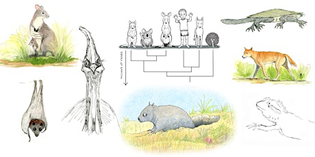 Animal diversity & evolution: Nature journaling workshop