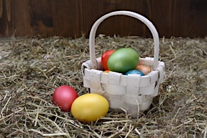 Primaire afbeelding van Spring Egg Hunt