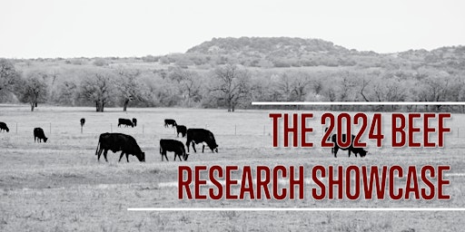 Beef Research Showcase - In Person primary image