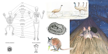 Animal form and function: Nature journaling workshop primary image