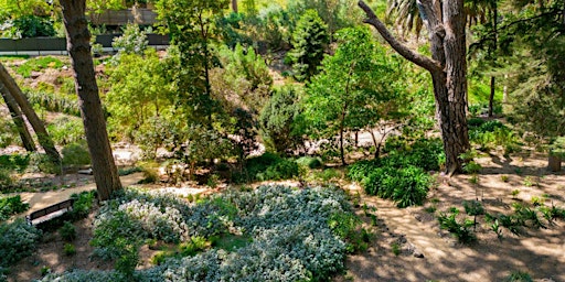 Image principale de History Fest Discover the Historic Garden at Michael Perry Reserve(BL)