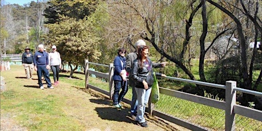 Coromandel History Walking Tour primary image