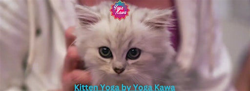 Collection image for Kitten Yoga by Yoga Kawa