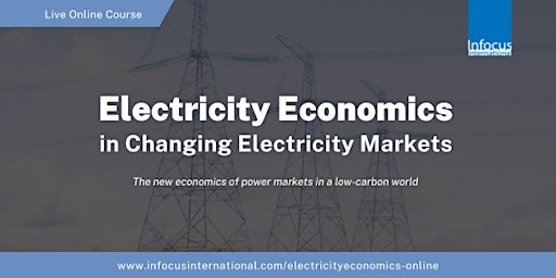 Primaire afbeelding van Electricity Economics in Changing Electricity Markets
