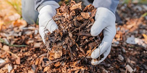 Caring for your soil
