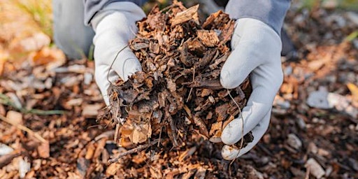 Hauptbild für Caring for your soil