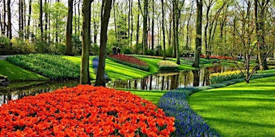 Hauptbild für Weekend Amsterdam & Festival Tulipes 2024 | 27-28 avril