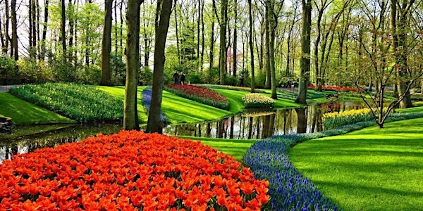 Weekend Amsterdam & Festival Tulipes 2024 | 27-28 avril