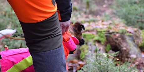 Immagine principale di ASP-Kadaversuchhunde – Ausbildung, Training, Einsatz 