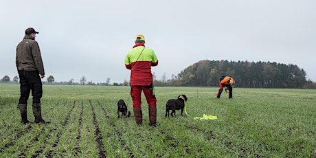 Die Ausbildung des Gebrauchshundes für die erfolgreiche Riemenarbeit  primärbild