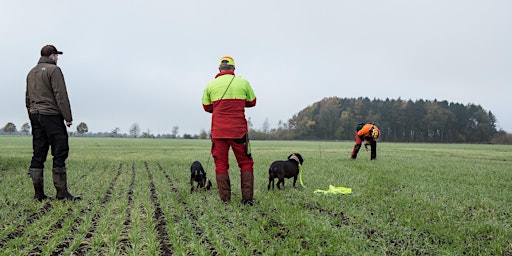 Hauptbild für Die Ausbildung des Gebrauchshundes für die erfolgreiche Riemenarbeit