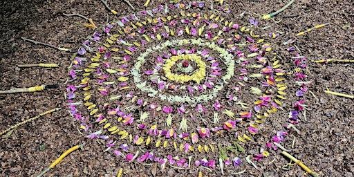 Hauptbild für Forest School