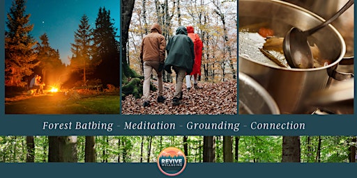 Imagem principal do evento A morning of Forest Bathing, grounding and Mindfulness - May