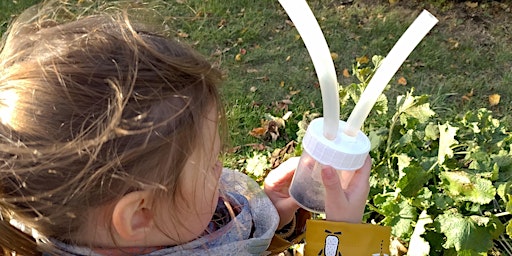 Primaire afbeelding van LES PETITS HABITANTS DU SOL