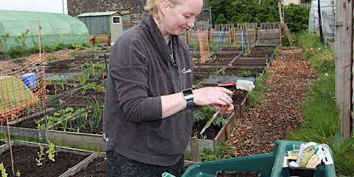 Primaire afbeelding van Grow Your Own Food for Beginners