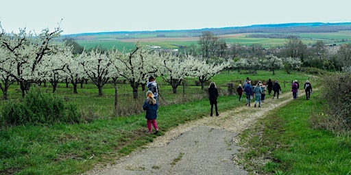 Hauptbild für LE VERGER, LE VILLAGE DU VIVANT